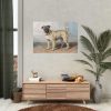 92409-129.jpg Portrait of Edwin Vom Rath’s Pug by Conradijn Cunaeus Poster