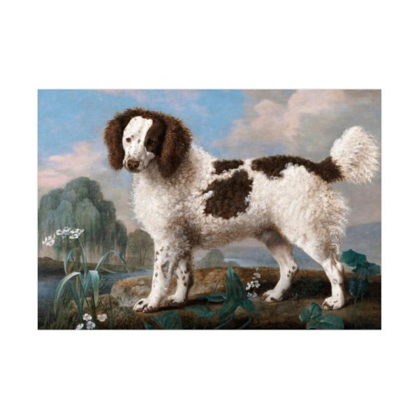 92409-134.jpg Brown and White Norfolk or Water Spaniel by George Stubbs Poster
