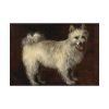 92409-137.jpg Spitz Dog by Thomas Gainsborough Poster