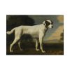 92409-140.jpg White Dog Painting By George Stubbs Poster