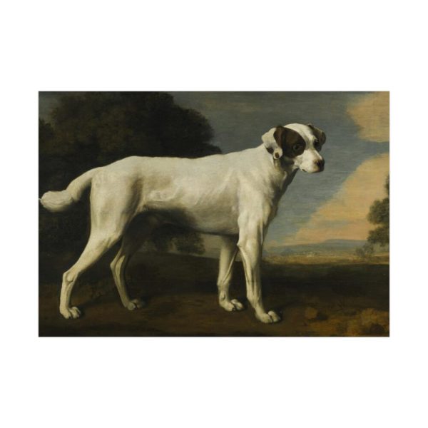 92409-140.jpg White Dog Painting By George Stubbs Poster