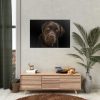 92409-216.jpg Labrador Retriever Poster