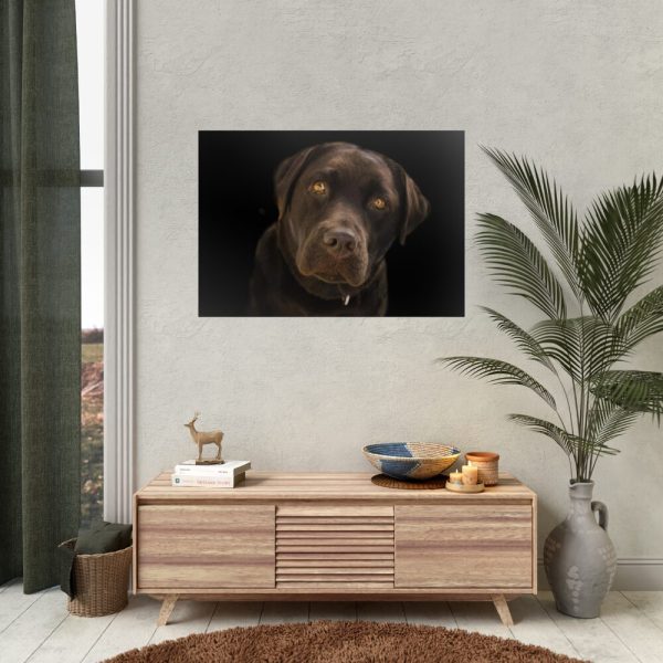 92409-216.jpg Labrador Retriever Poster