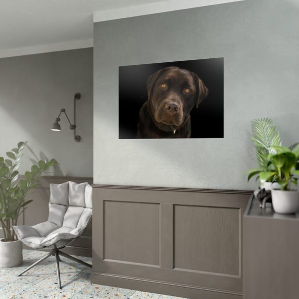 92409-217.jpg Labrador Retriever Poster