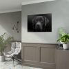 92409-238.jpg Black Dog Face Close Up Poster