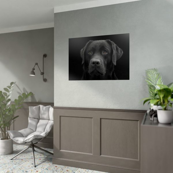92409-238.jpg Black Dog Face Close Up Poster