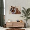 92409-279.jpg Tiger at the Wild Animal Sanctuary Poster