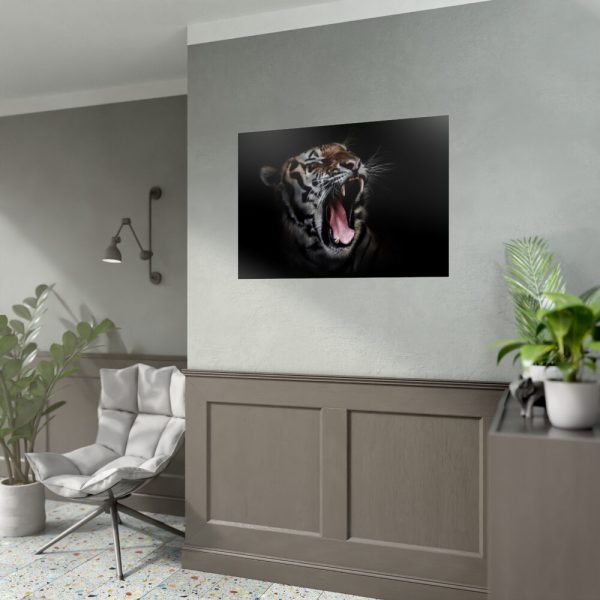 Tiger Face Poster
