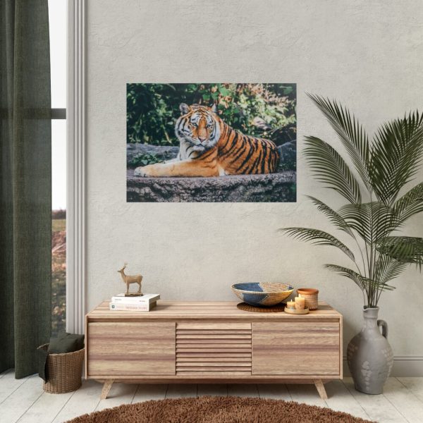 Tiger Sitting on Rock  Poster