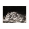 92409-308.jpg A Tyger Sleeping Cheetah by George Stubbs Poster