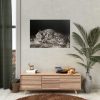 92409-309.jpg A Tyger Sleeping Cheetah by George Stubbs Poster