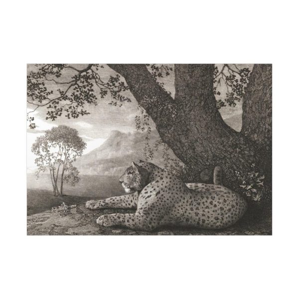 92409-311.jpg A Tyger by George Stubbs Poster