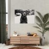92409-321.jpg Puka the Chocolate Lab by Carol M. Highsmith Poster