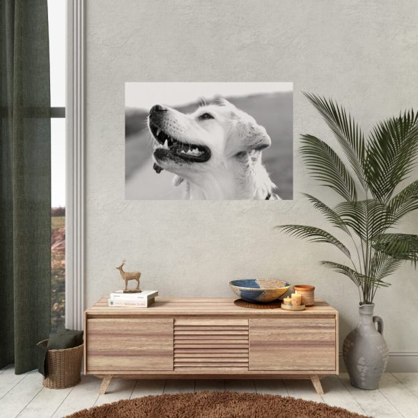 92409-324.jpg Labrador Retriever Dog in Black and White Poster