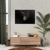 92409-333.jpg Black Bombay Cat in the Dark Poster