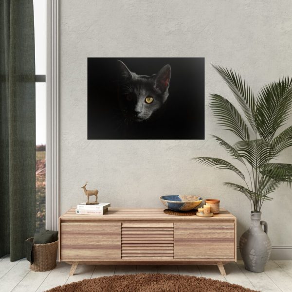 92409-333.jpg Black Bombay Cat in the Dark Poster