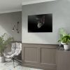 92409-334.jpg Black Bombay Cat in the Dark Poster