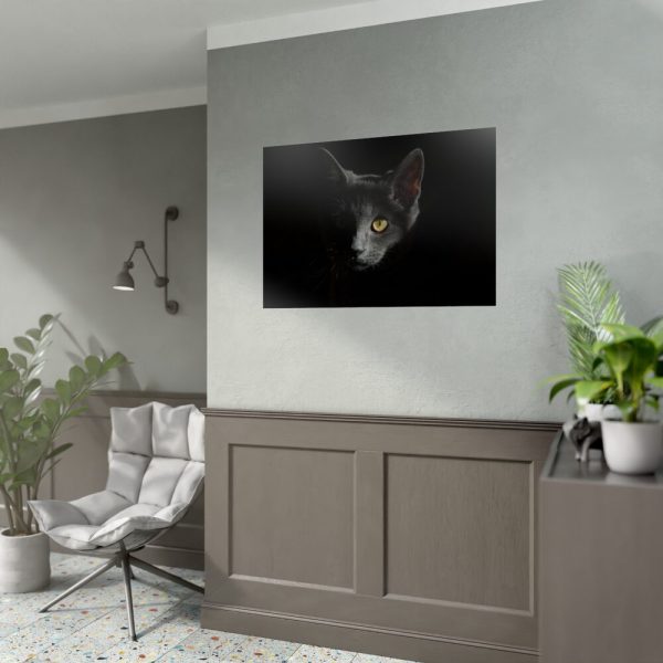92409-334.jpg Black Bombay Cat in the Dark Poster