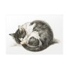 92409-338.jpg Rolled up Lying Sleeping Cat by Jean Bernard Poster