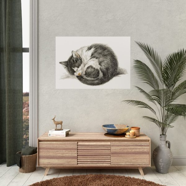 92409-339.jpg Rolled up Lying Sleeping Cat by Jean Bernard Poster