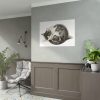 92409-340.jpg Rolled up Lying Sleeping Cat by Jean Bernard Poster