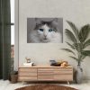 92409-342.jpg Cute Maine Coon Cat Poster