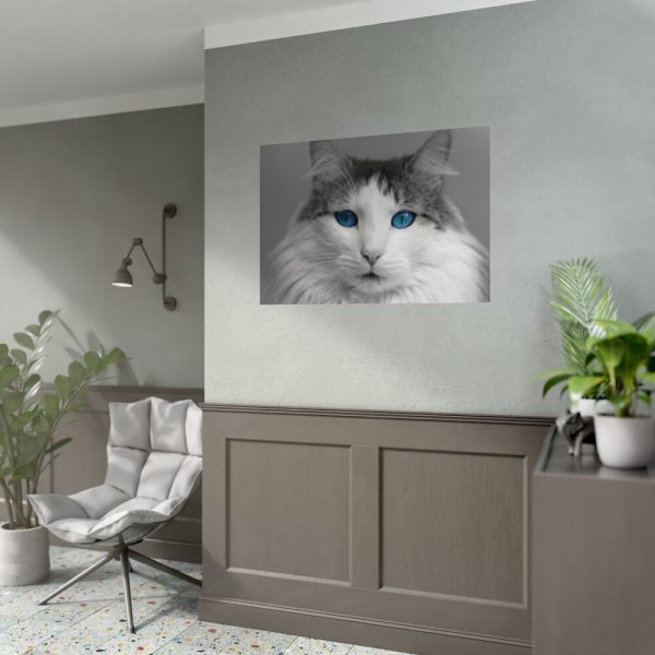 92409-343.jpg Cute Maine Coon Cat Poster