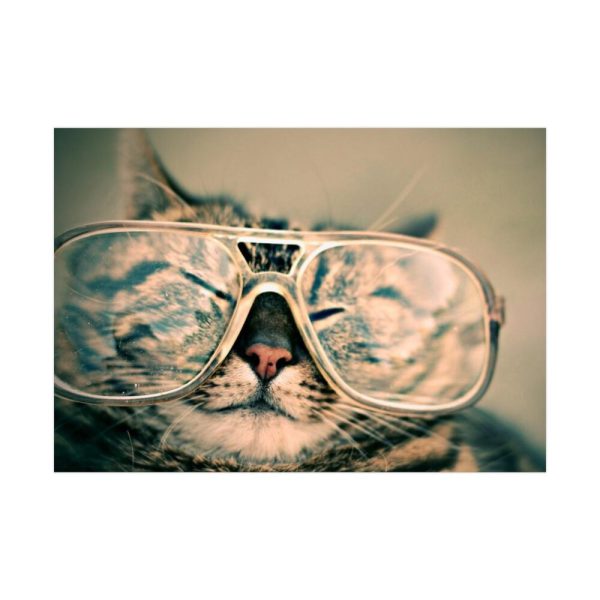 92409-350.jpg Cat Wearing Eyeglasses Poster