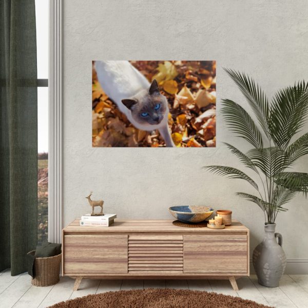 92409-354.jpg Autumn Cat Poster