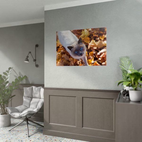 92409-355.jpg Autumn Cat Poster