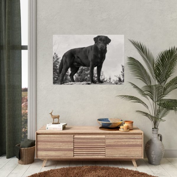 Black Labrador Dog Poster