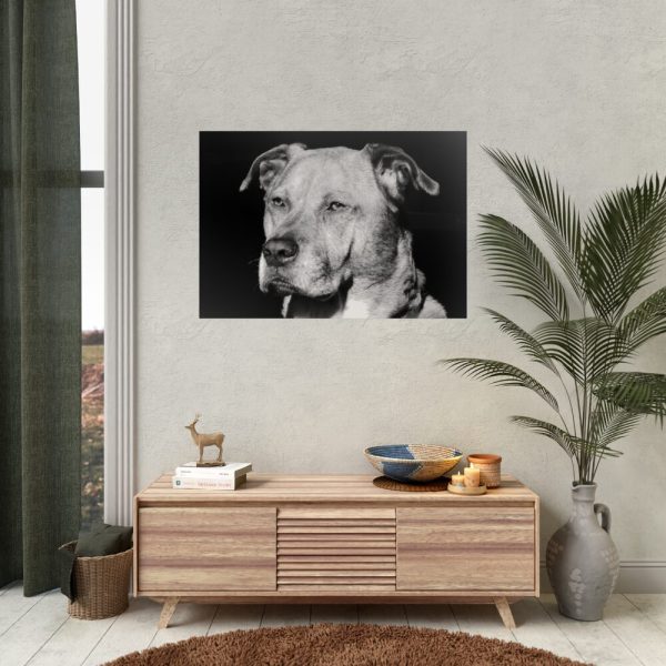 Dog Boxer Labrador Mixed Poster