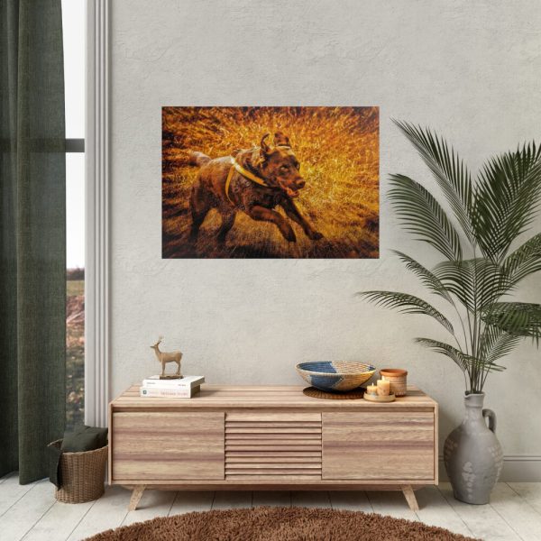 92409-369.jpg Black Labrador Runing in Field Poster