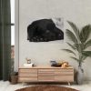 Sleepy Black Labrador Poster