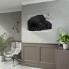 Sleepy Black Labrador Poster