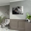 92409-376.jpg Beautiful Labradors Eyes Poster