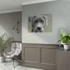 92409-379.jpg Grey Labrador with Blue Eyes Poster