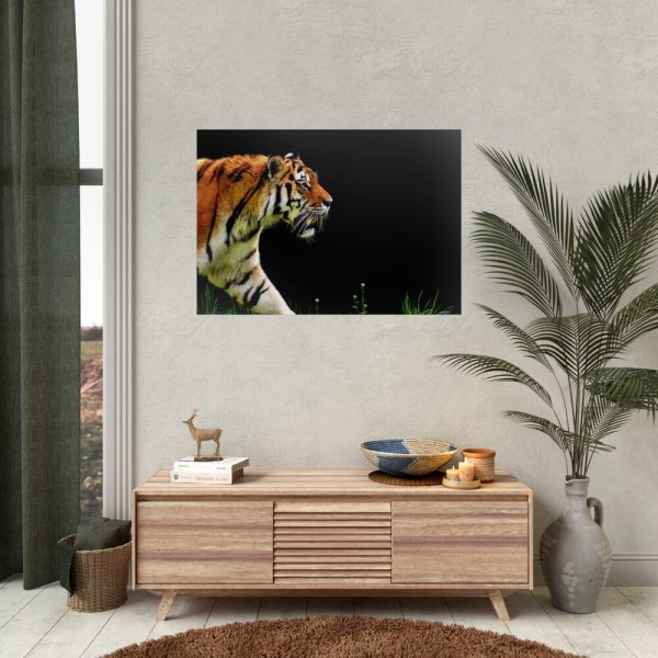 A Tiger in the Darkness Poster