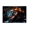 92409-389.jpg Close-up Tiger Head Resting in the Shade Poster
