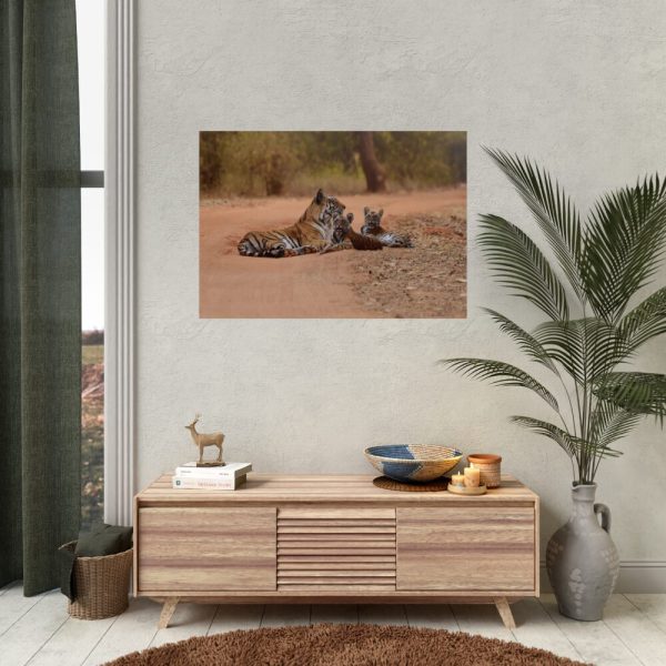 92409-393.jpg Tiger and Cubs on Dusty Road Poster