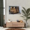 92409-396.jpg Brown Tabby Maine Coon Cat Poster