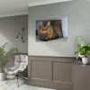 92409-397.jpg Brown Tabby Maine Coon Cat Poster