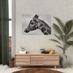 Black-and-White Photo of a Giraffe's Head Poster - Image 5