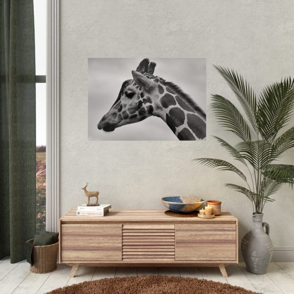 92409-399.jpg Black-and-White Photo of a Giraffe's Head Poster