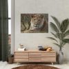 92409-40.jpg Beautiful Male Lion Poster