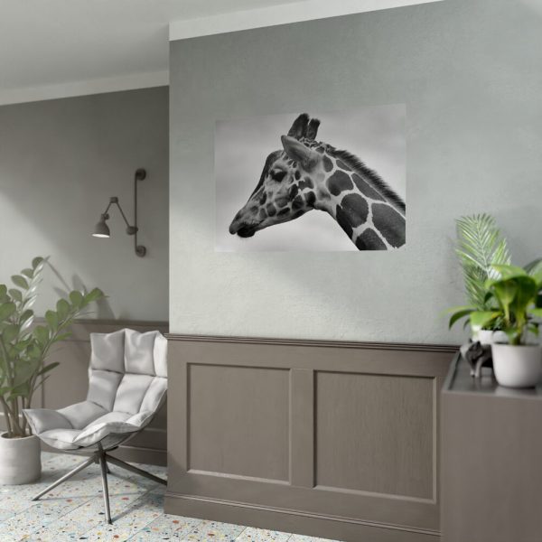 92409-400.jpg Black-and-White Photo of a Giraffe's Head Poster