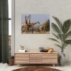 92409-402.jpg Free Giraffes in the Wild Poster