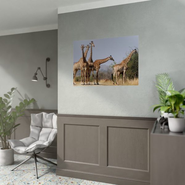 92409-403.jpg Free Giraffes in the Wild Poster