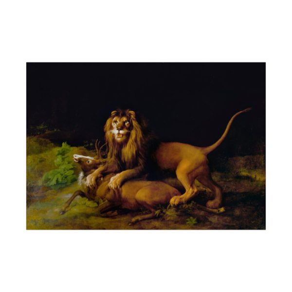 92409-410.jpg A Lion Attacking a Stag by George Stubbs Poster
