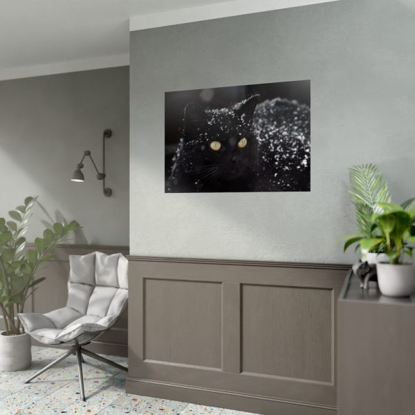 92409-418.jpg Black Persian Cat Poster
